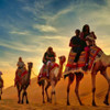 UAE Desert Safari