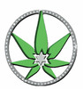 Canna Starz